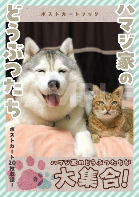 ハマジ家のどうぶつたち　ポストカードブック