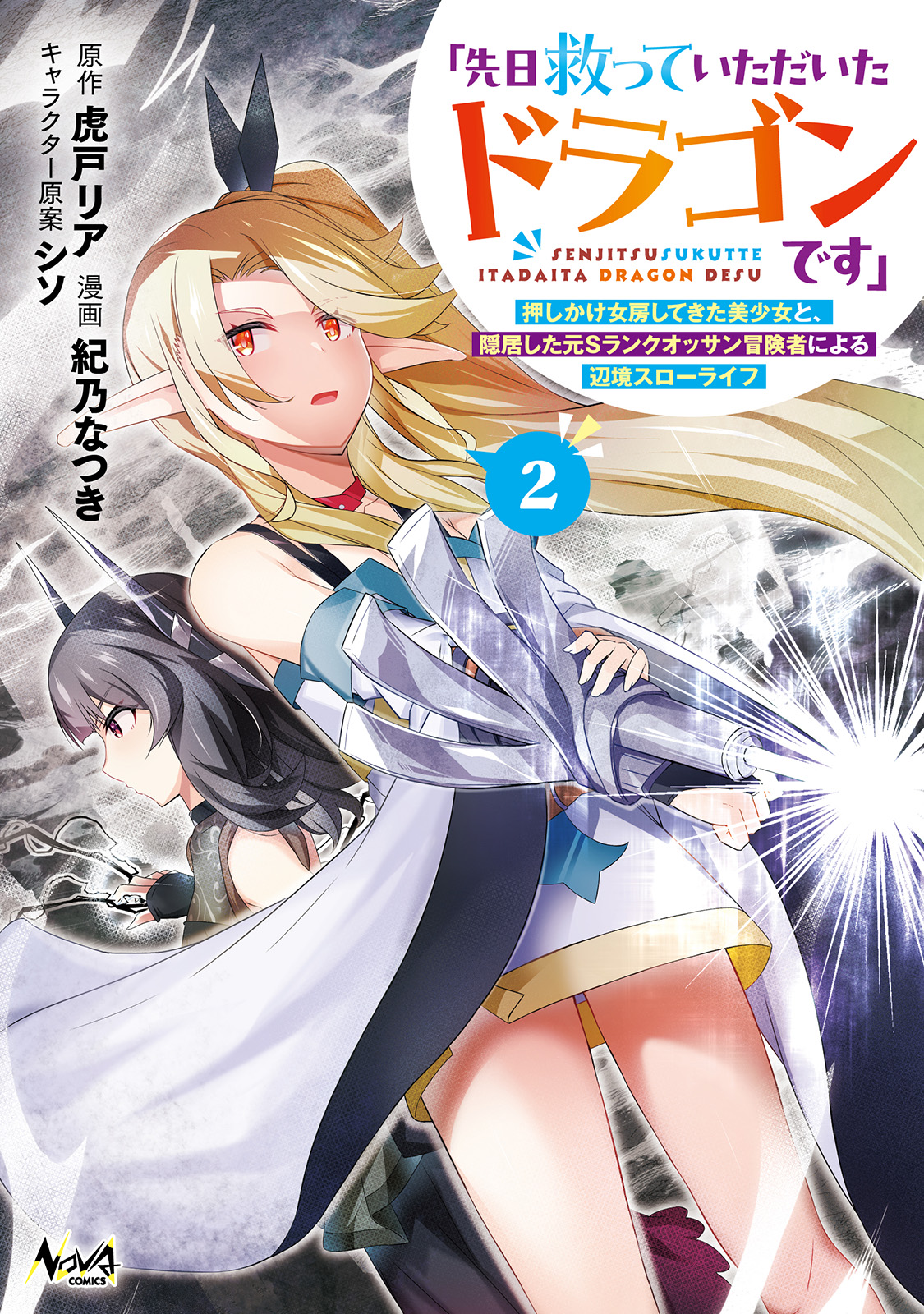「先日救っていただいたドラゴンです」～押しかけ女房してきた美少女と、隠居した元Sランクオッサン冒険者による辺境スローライフ～２