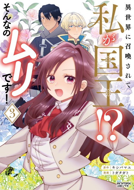 異世界に召喚されて私が国王！？　そんなのムリです！３